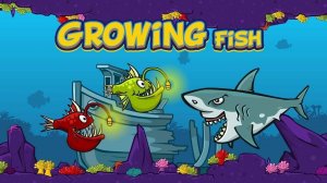 Lake Fish Rescue