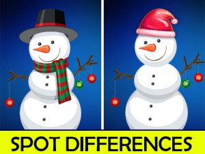 Holiday Find the Differences Puzzle