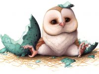 Cute Owl Slide Puzzle Game - Kids Puzzle Game