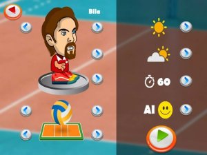 Head Volleyball Online Sports Game
