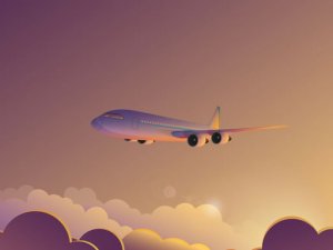 Holiday Aircraft Picture Puzzle