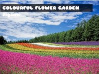 Colourful Flower Garden Jigsaw Puzzle Game - Relaxing Puzzle Game