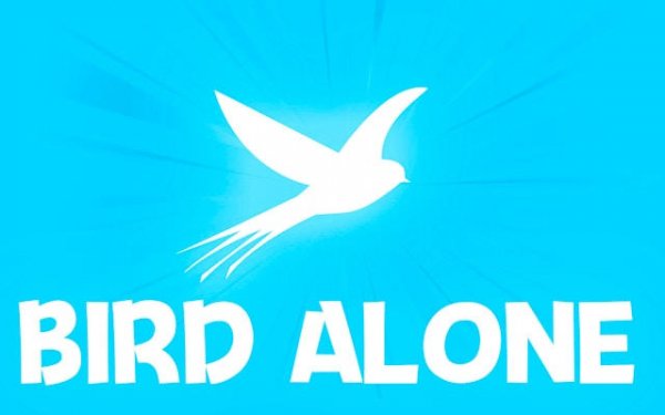 Peaceful Bird Flight Relaxation Game