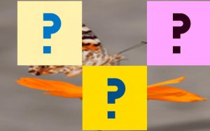 Butterfly Memory Match Puzzle Game Online - Sliding Puzzle Game