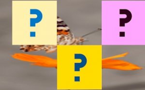 Butterfly Tile Puzzle