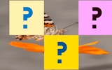 Butterfly Memory Match Puzzle Game Online - Sliding Puzzle Game