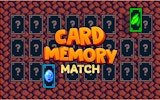 Card Memory Match - Brain Training Puzzle Game Online Puzzle Game