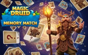 Druid Memory Match Puzzle