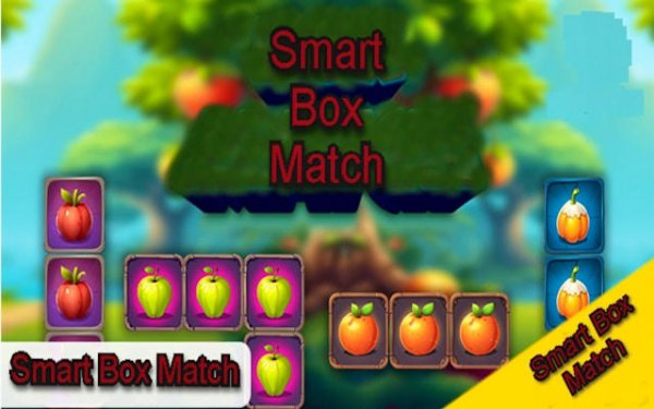 Smart Box Match Puzzle Game - Online Logic Challenge Puzzle Game