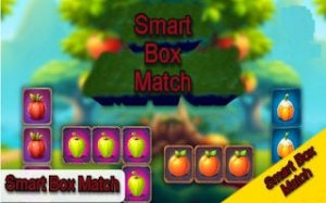 Smart Box Logic Puzzle