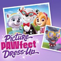Paw Patrol Picture Pawfect Dressup Dressup Game